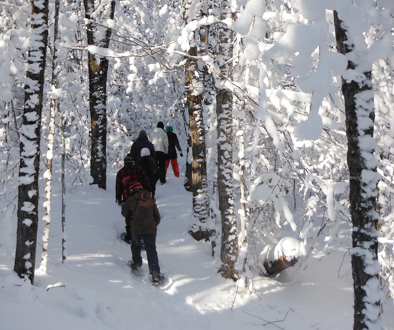 Gîte Vita Bella B&B | 280 Chemin de Bellefeuille, Saint-Adolphe-dHoward, QC J0T 2B0, Canada | Phone: (819) 327-5037