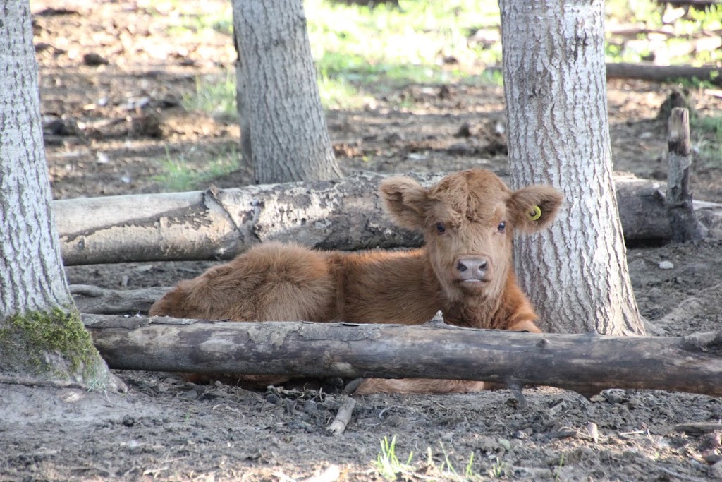 BENTHORN FARMSTEAD | 510 Municipal Rd, Sauble Beach, ON N0H 2G0, Canada | Phone: (519) 378-4486