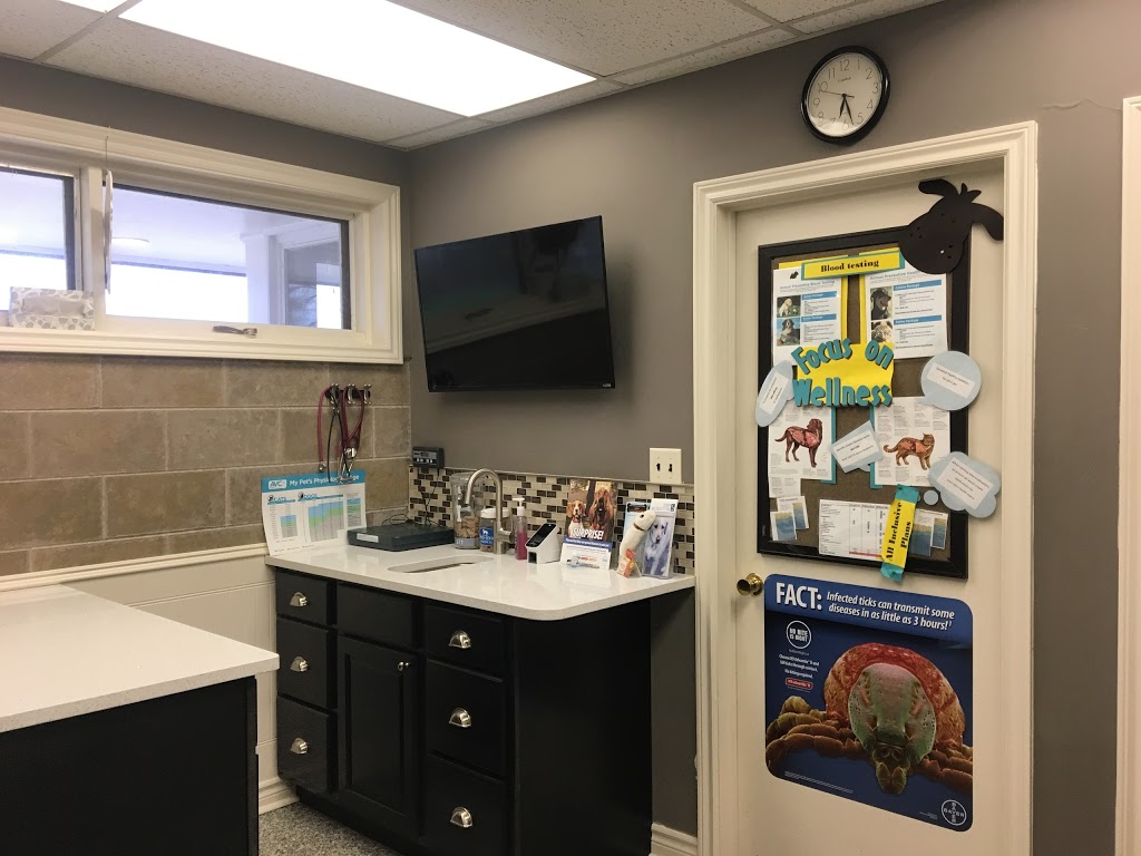 Scott Veterinary Clinic | 904 Colborne St, Brantford, ON N3S 3T4, Canada | Phone: (519) 752-3431