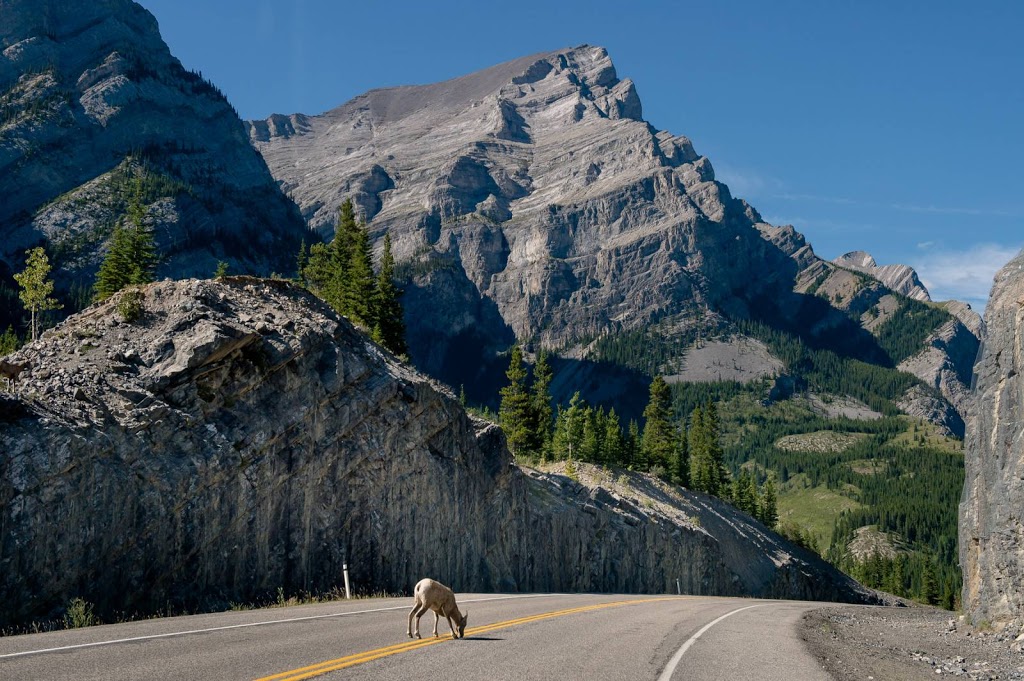 Sundance Lodges, Kananaskis Country | #2 Sundance Rd Hwy 40, Kananaskis, AB T0L 2H0, Canada | Phone: (403) 591-7122