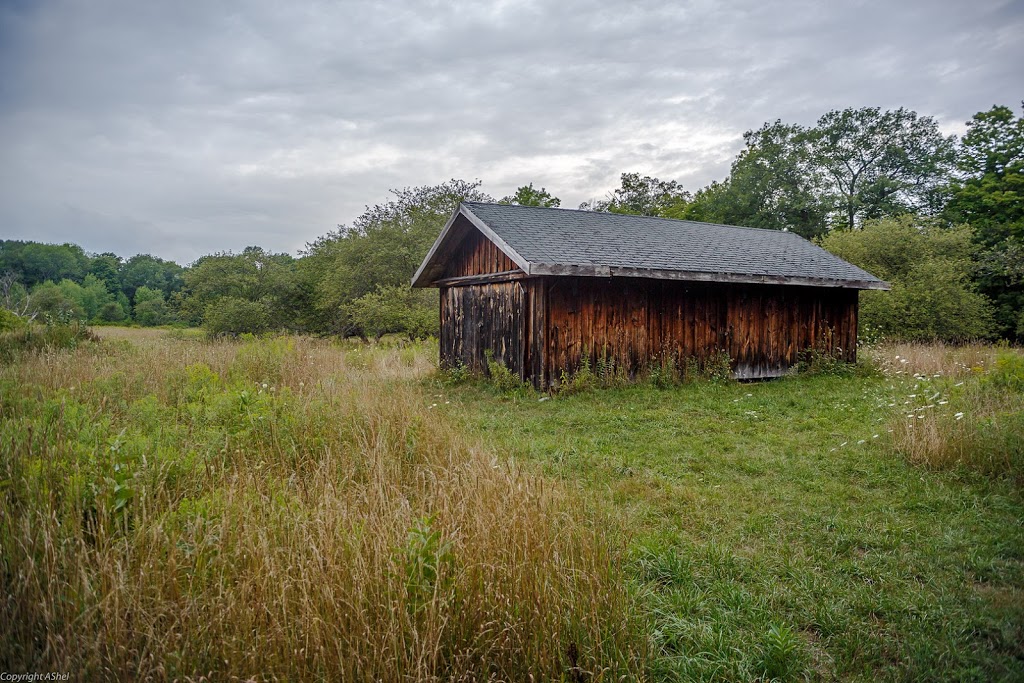 Dundas Main Loop | Bruce Trail, Dundas, ON L9H 5E3, Canada