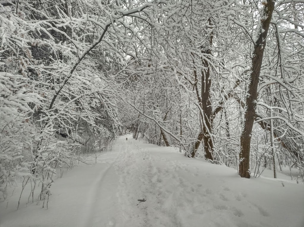 Petersburg Regional Forest | 1974 Snyders Rd E, Petersburg, ON N0B 2H0, Canada