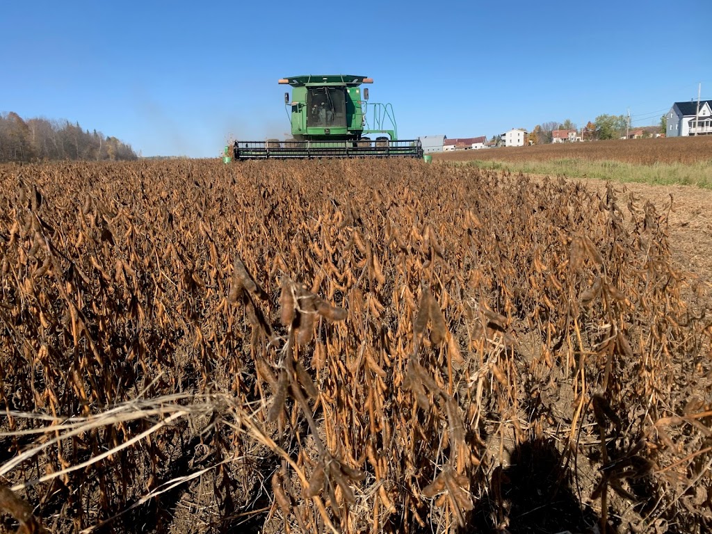 Ferme Fertilys | 860 QC-352, Sainte-Thècle, QC G0X 3G0, Canada | Phone: (418) 507-2697