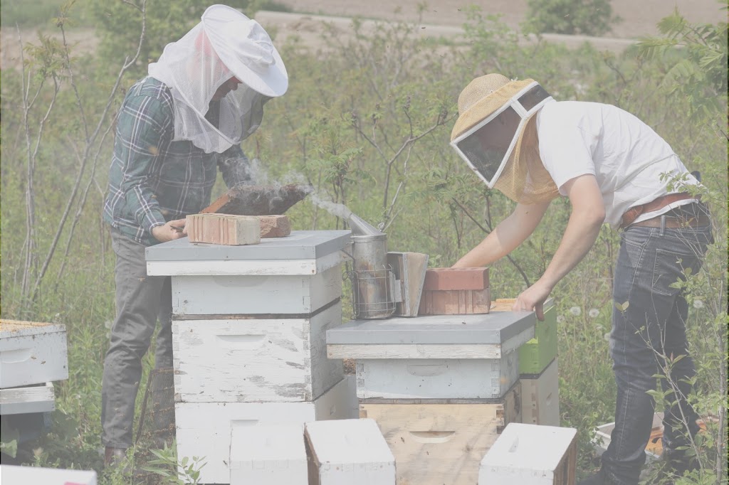 Backed By Bees | 6214 Appleby Line, Burlington, ON L7M 0P7, Canada | Phone: (905) 320-6214