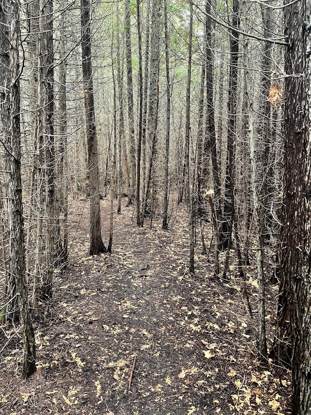 Petrel Point Nature Reserve | Petrel Point Rd, South Bruce Peninsula, ON N0H 1X0, Canada | Phone: (800) 440-2366