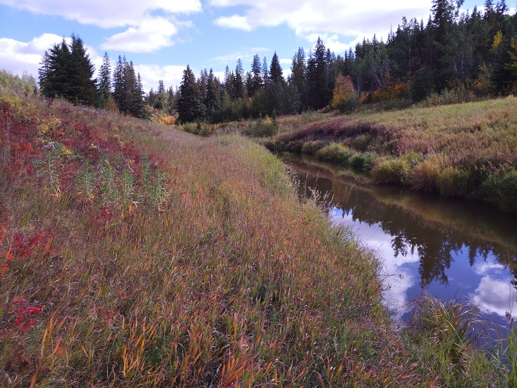 Larch Sanctuary | MacTaggart Sanctuary Trail Loop, Edmonton, AB T6J 5N2, Canada