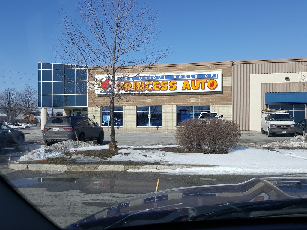 Princess Auto | 18195 Leslie St, East Gwillimbury, ON L9N 0M2, Canada | Phone: (905) 952-2107