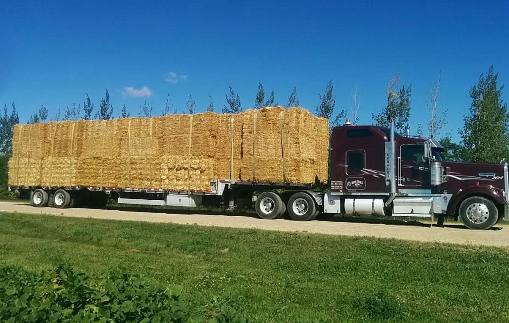 River Trails Transport LTD | 32008 RD 1E, Rosenort, MB R0G 1W0, Canada | Phone: (204) 746-2050