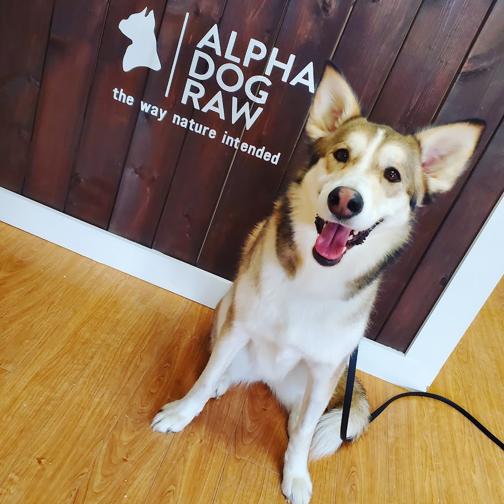 Alpha Dog Raw - Newmarket/Aurora | 16610 Bayview Ave Unit #5, Newmarket, ON L3X 2H9, Canada | Phone: (289) 383-1934