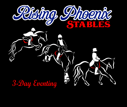 Rising Phoenix Stables | 37121 Hazelridge Rd 65N, Anola, MB R5L 0B7, Canada | Phone: (204) 471-5274