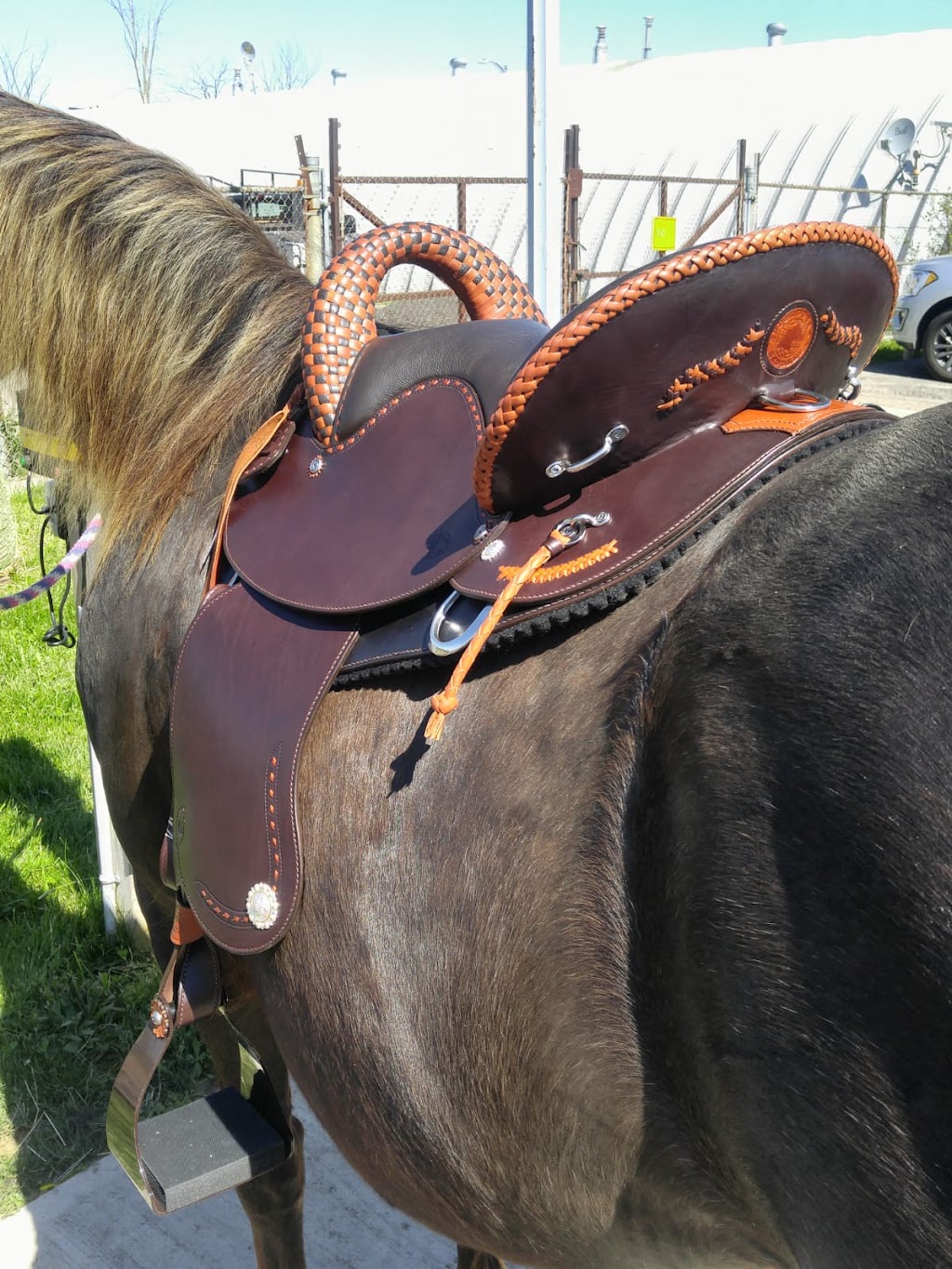 Appaloosa Saddlery | 590 N Service Rd #79, Stoney Creek, ON L8E 0K5, Canada | Phone: (416) 878-1411