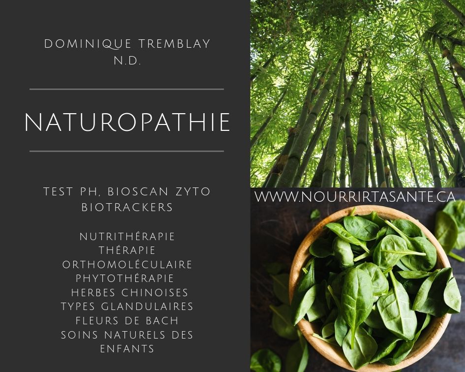 Dominique Tremblay Naturopathe N.D. (Clinique Orientation Santé) | 1287 Av. Maguire, Québec, QC G1T 1Z2, Canada | Phone: (418) 321-2429