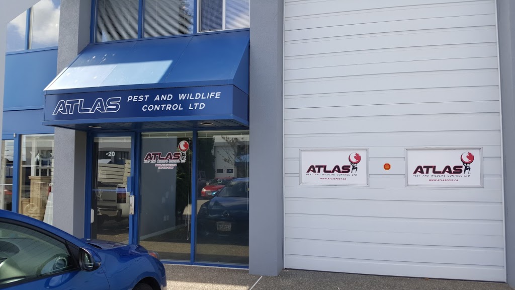 Atlas Pest And Wildlife Control Ltd | 3033 King George Blvd #20, Surrey, BC V4P 1B8, Canada | Phone: (604) 503-5444