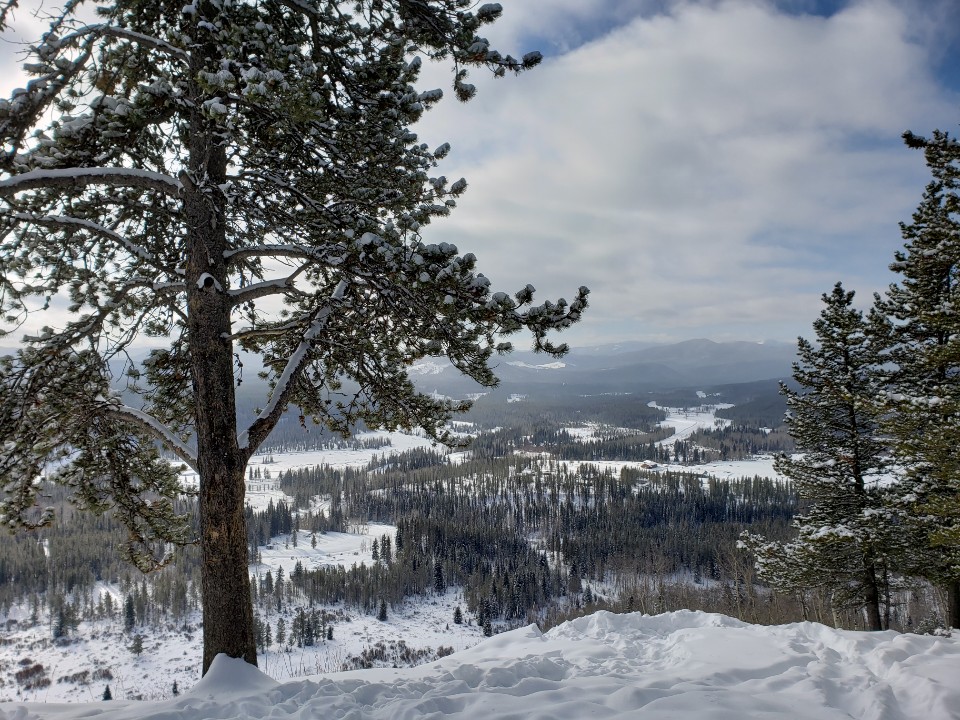 Fullerton Loop Hiking Trail | Alberta 66, Bragg Creek, Kananaskis, AB T0L 0K0, Canada