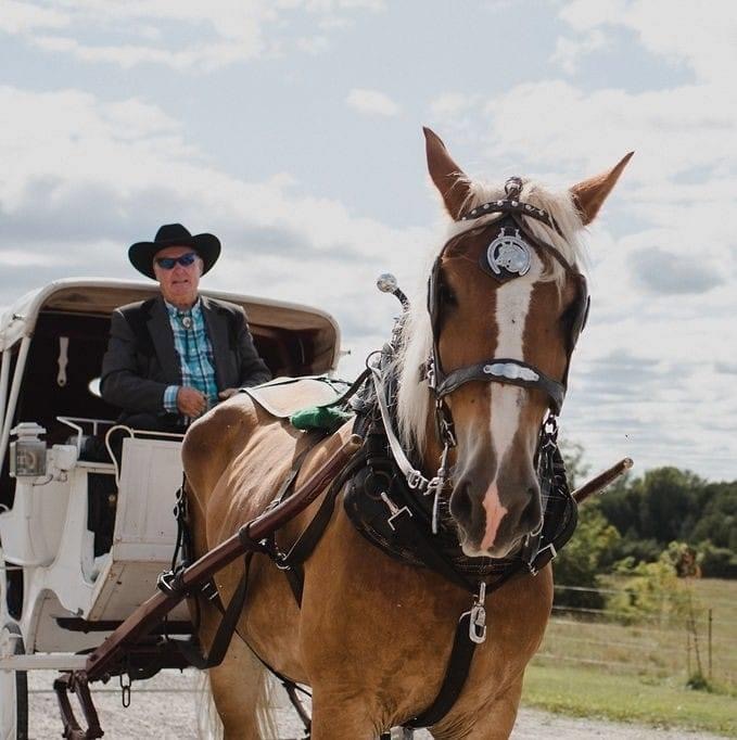 Hilltop Orchard Farm | 4426 County Rd 2, Hastings, ON K0L 1Y0, Canada | Phone: (705) 768-5308