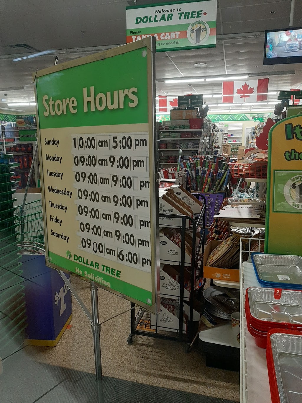 Dollar Tree | 200 Broadway, Tillsonburg, ON N4G 5A7, Canada | Phone: (519) 688-1250