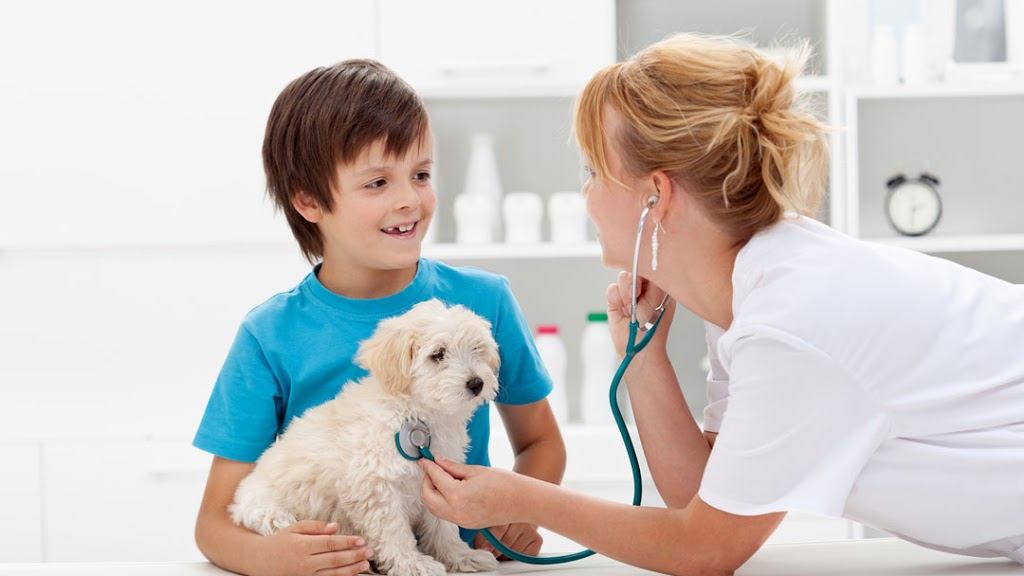 Cambie Animal Hospital | 7555 Cambie St, Vancouver, BC V6P 3H6, Canada | Phone: (604) 321-6600