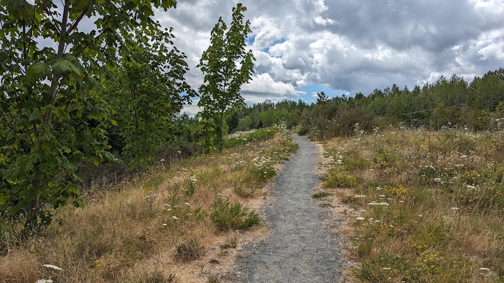 Buckley Bay Rest Area | 6866 Buckley Bay Rd, Fanny Bay, BC V0R 1W0, Canada | Phone: (800) 663-7867