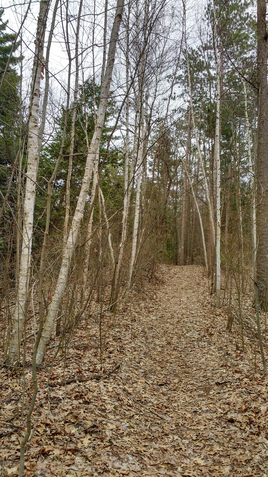 L-Lake Management Area trail access | Lambton Shores, ON N0M 2L0, Canada