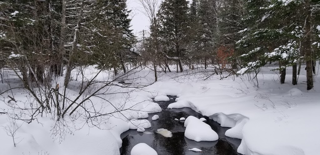 Secteur du Lac-Stukely - Parc National du Mont-Orford | 200 Chemin du Camping, Orford, QC J1X 7A2, Canada | Phone: (819) 843-9855