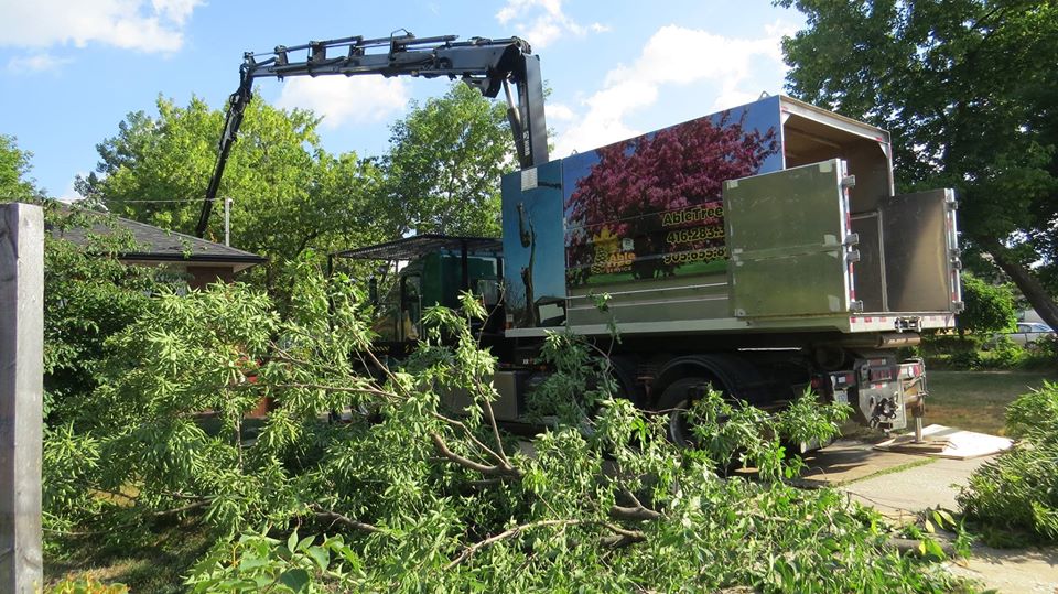 Able Tree Service Inc. | 27 Strandmore Cir, Whitby, ON L1M 0C1, Canada | Phone: (416) 283-3851