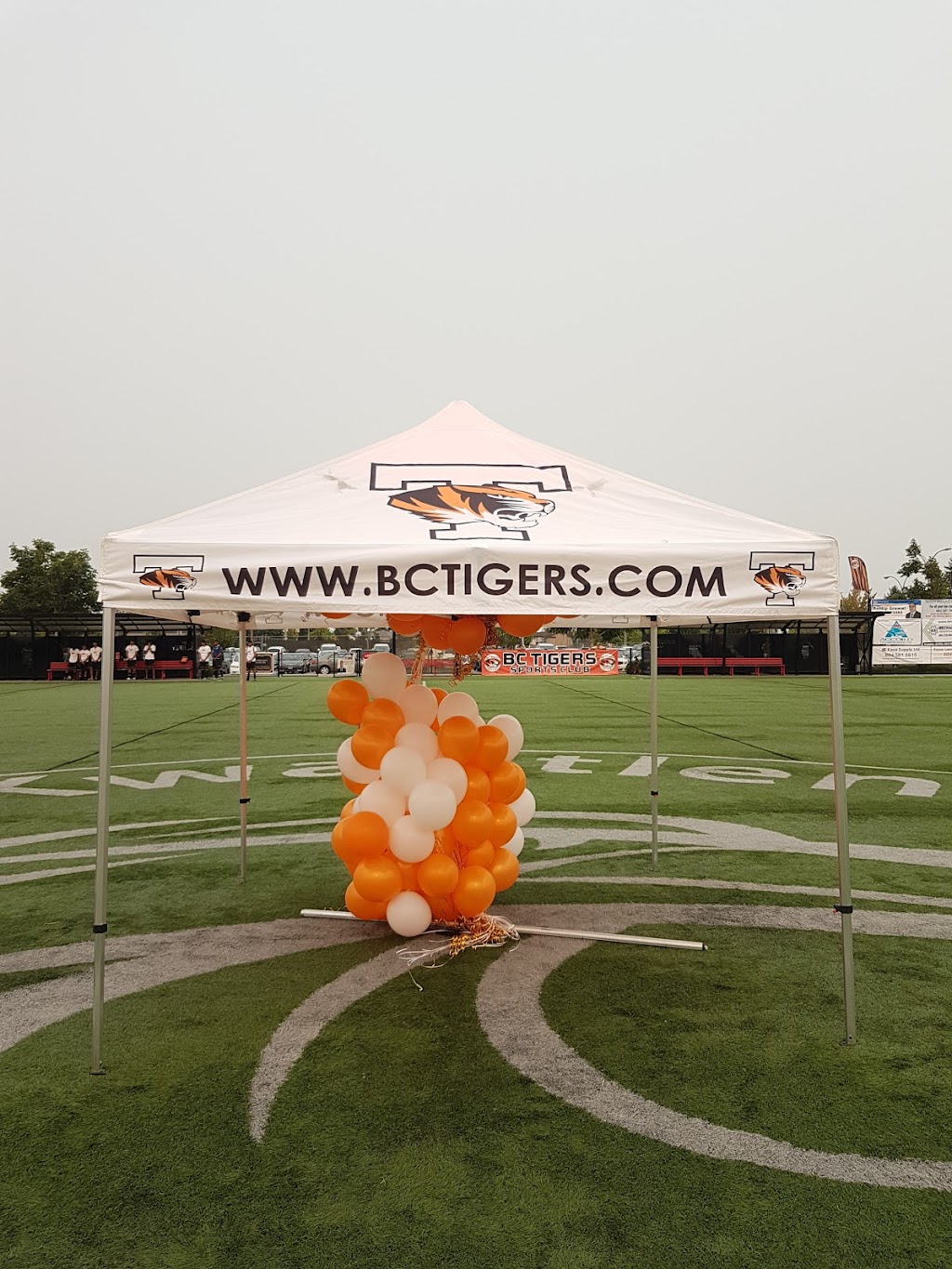 B.C. Tigers Soccer | 7395 128 St 128 Street, Surrey, BC V3W 2M7, Canada | Phone: (604) 594-0113