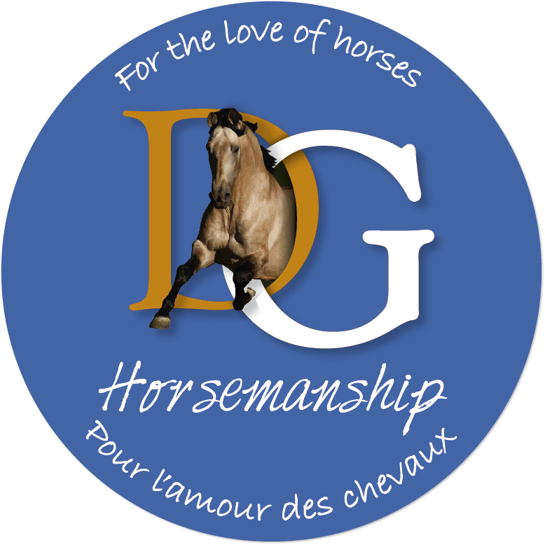 DG Horsemanship | 324 Rang Sainte-Marie, Saint-Alfred, QC G0M 1L0, Canada | Phone: (418) 957-3298