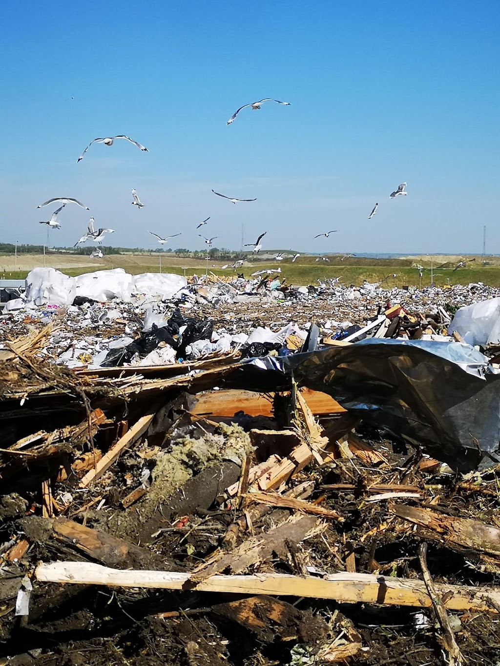 The City of Calgary Landfills Spyhill | 11808 69 St NW, Calgary, AB T3R 1J4, Canada | Phone: (403) 268-2489