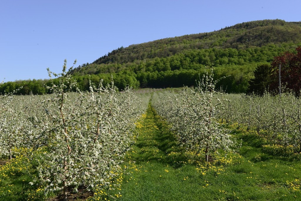 Municipalité de Saint-Paul-DAbbotsford | 926 Rue Principale, Saint-Paul-dAbbotsford, QC J0E 1A0, Canada | Phone: (450) 379-5408