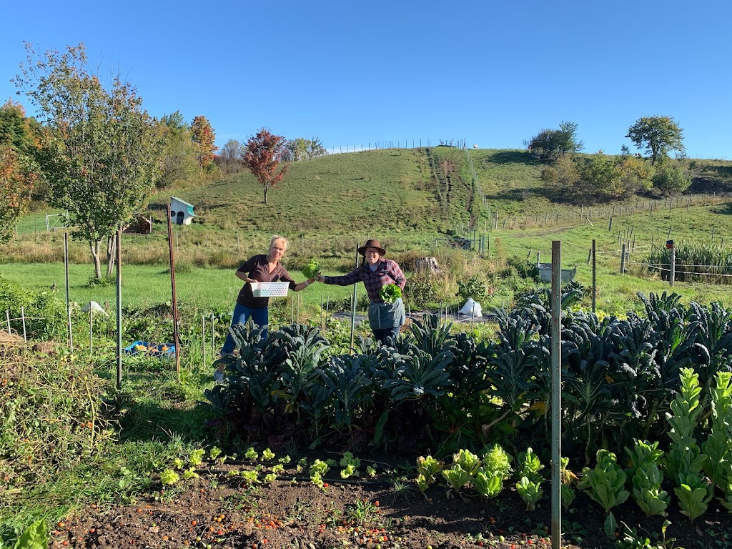 Ferme Entre les Branches | 997 Chem. des Îles, Pintendre, QC G6C 1B5, Canada | Phone: (581) 980-9050