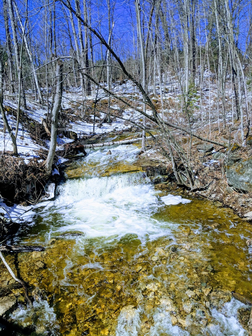 Silver Creek Conservation Area | Fallbrook Trail & Side Rd 27, Halton Hills, ON L7G 4S4, Canada | Phone: (800) 367-0890