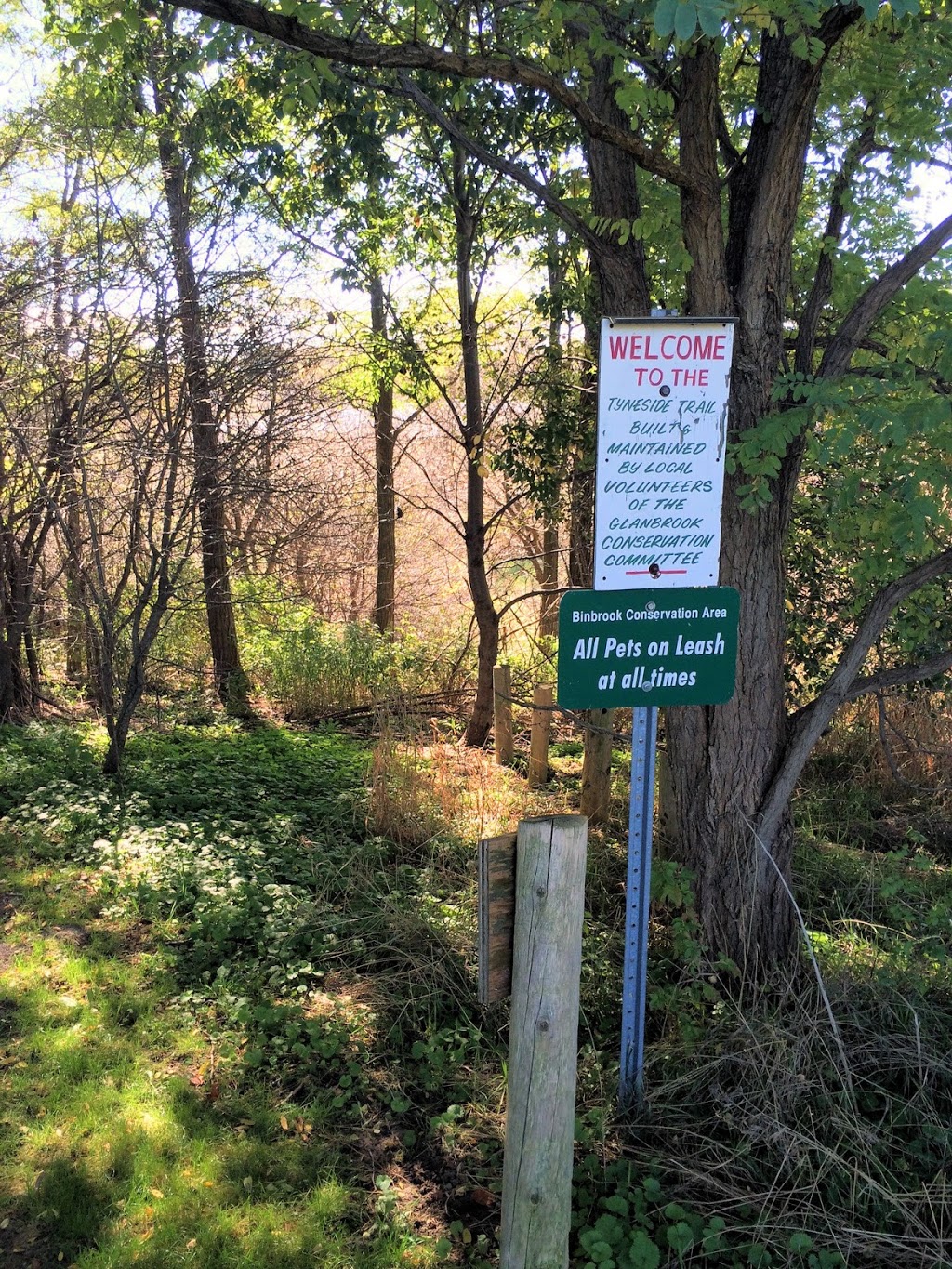 Tyneside Trail -Stargazing | Tyneside Trail, Mount Hope, ON L0R 1W0, Canada