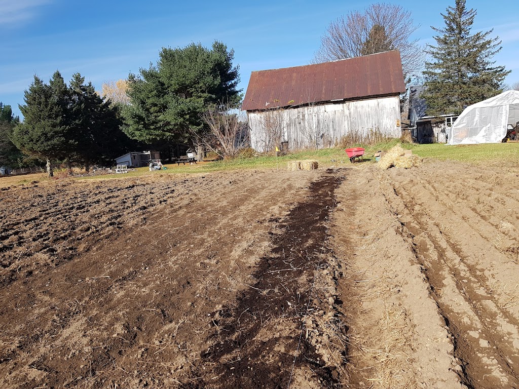 Ferme Joyal et Frères | 12 Rang du Bois-de-Maska, Saint-François-du-Lac, QC J0G 1M0, Canada | Phone: (514) 616-1436