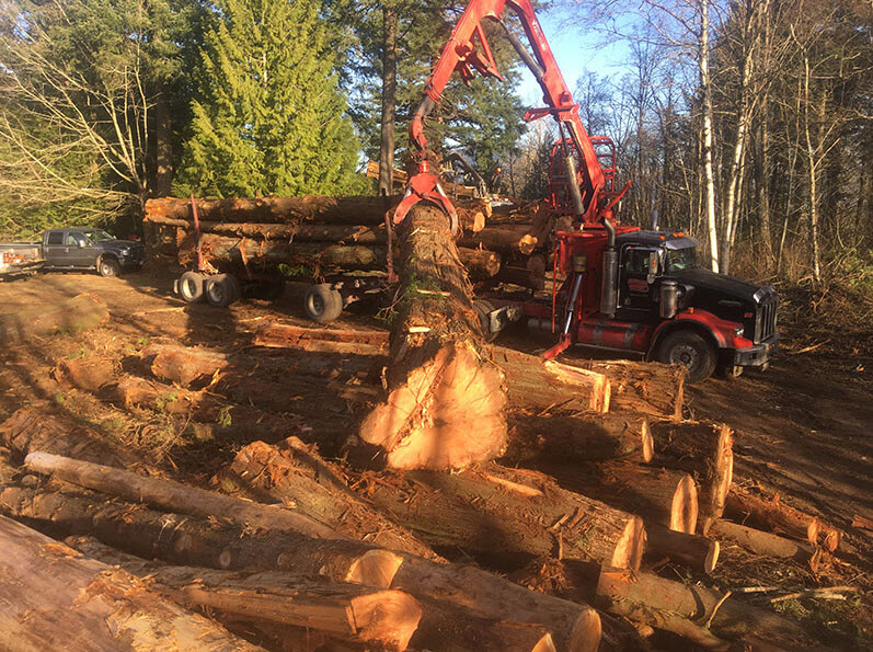 S A S Logging & Tree Service | 51633 Yale Rd, Rosedale, BC V0X 1X1, Canada | Phone: (778) 860-3078