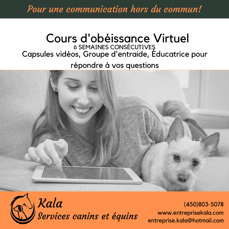 Kala, Services Canins et Équins - Éducation et Dressage- Laval | 368 Rue de Villandraut, Laval, QC H7K 3R2, Canada | Phone: (450) 803-5078