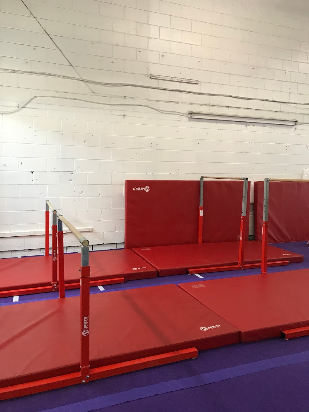 Precision Gymnastics | 3326 Limebank Rd, Ottawa, ON K1V 1H2, Canada | Phone: (613) 608-9002