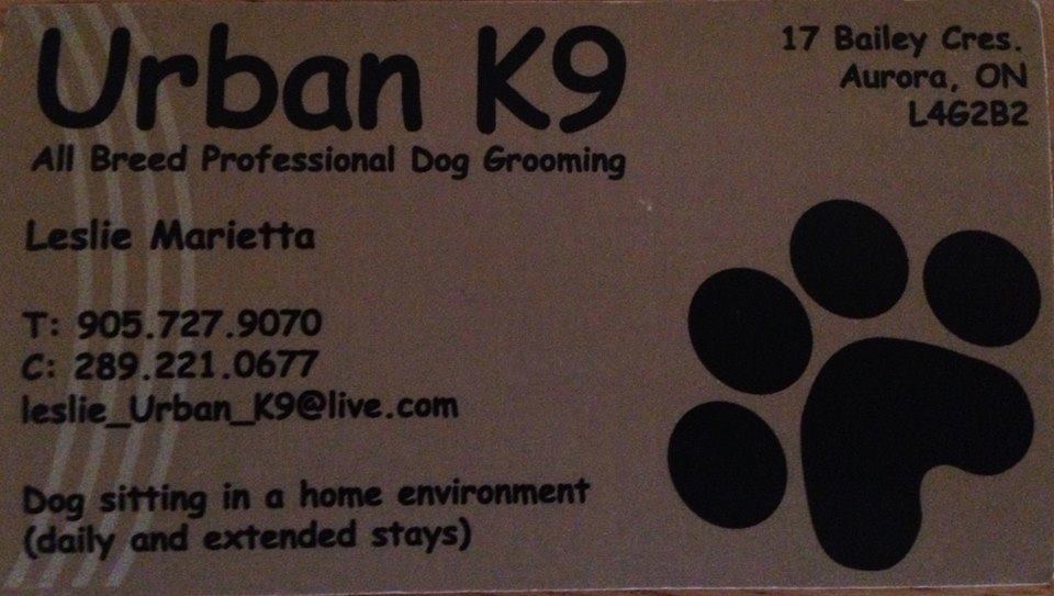 Urban K9 | 17 Bailey Crescent, Aurora, ON L4G 2B2, Canada | Phone: (905) 727-9070