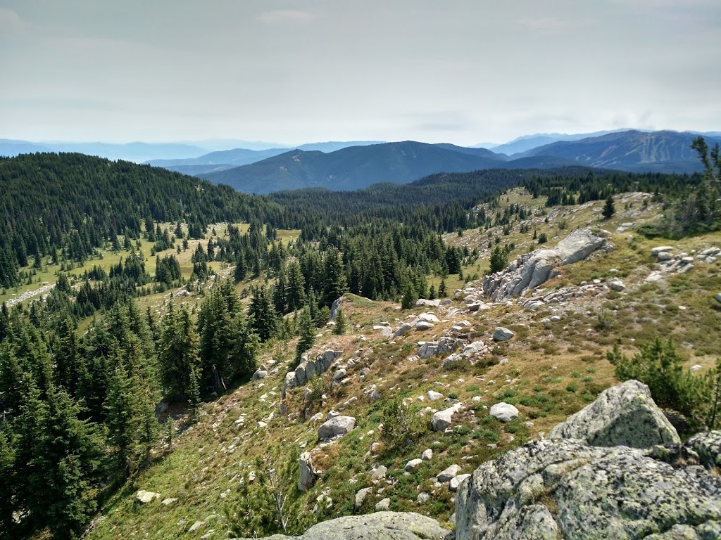 Brent Mountain Protected Area | Apex Mountain Rd, Hedley, BC V0X 1K0, Canada | Phone: (800) 689-9025