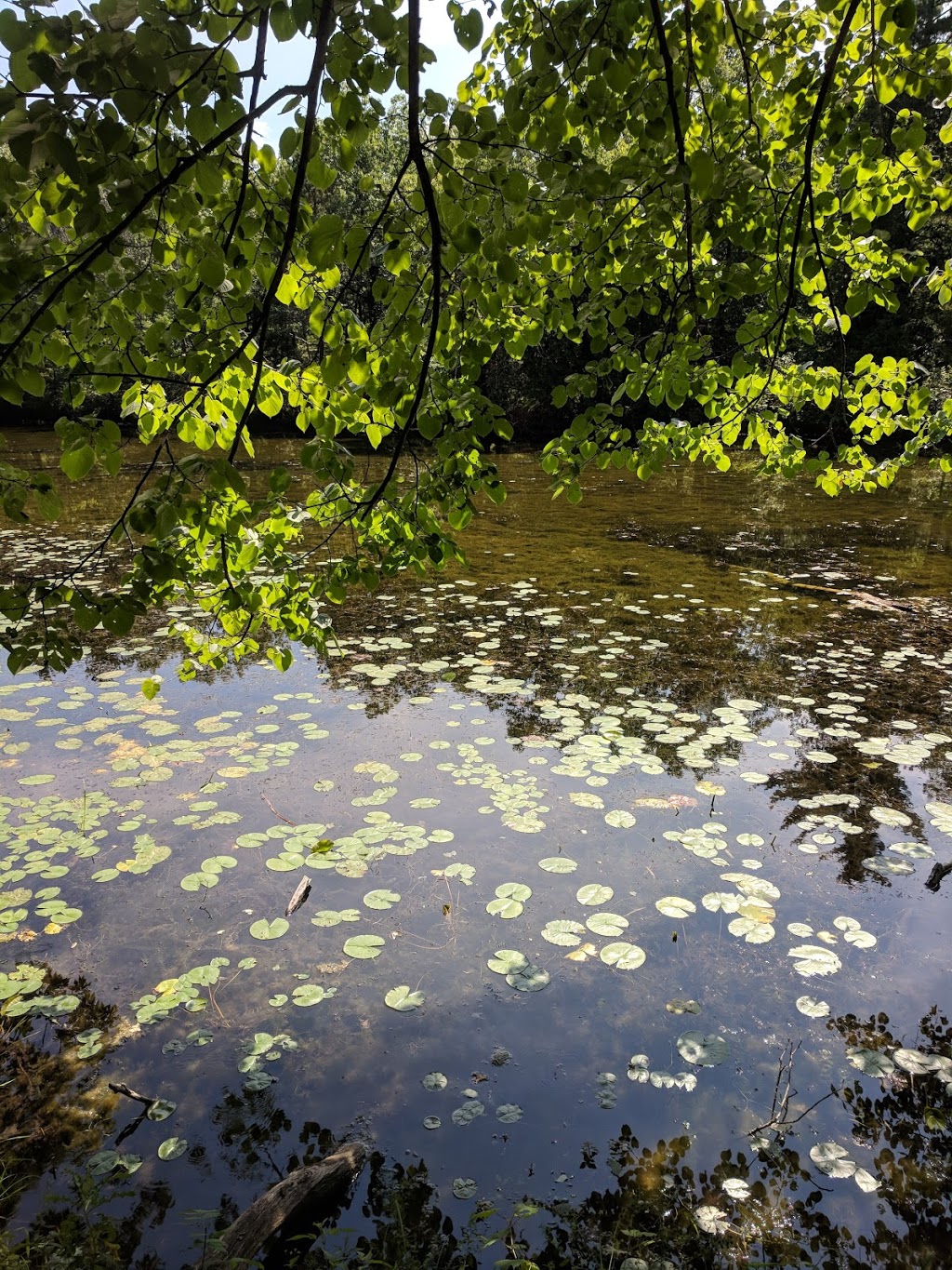 Bittersweet Trail | 26 Sideroad, Grand Bend, ON N0M 1T0, Canada