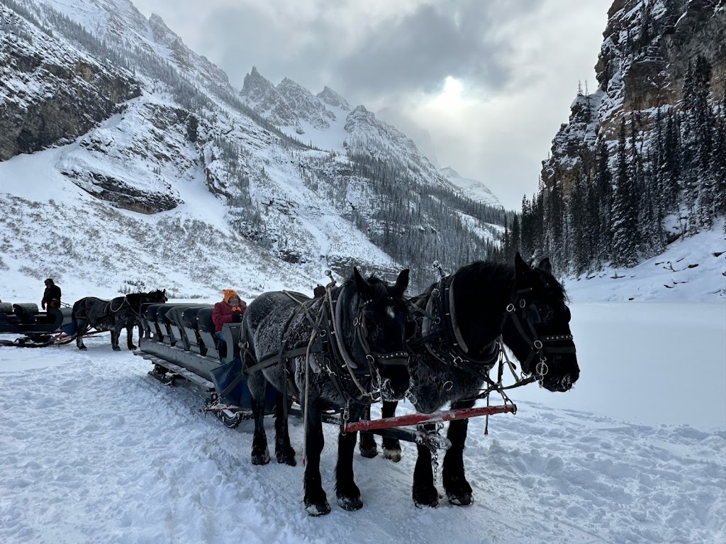 Brewsters Lake Louise Stables | 111 Lake Louise Dr, Lake Louise, AB T0L 1E0, Canada | Phone: (403) 762-5454