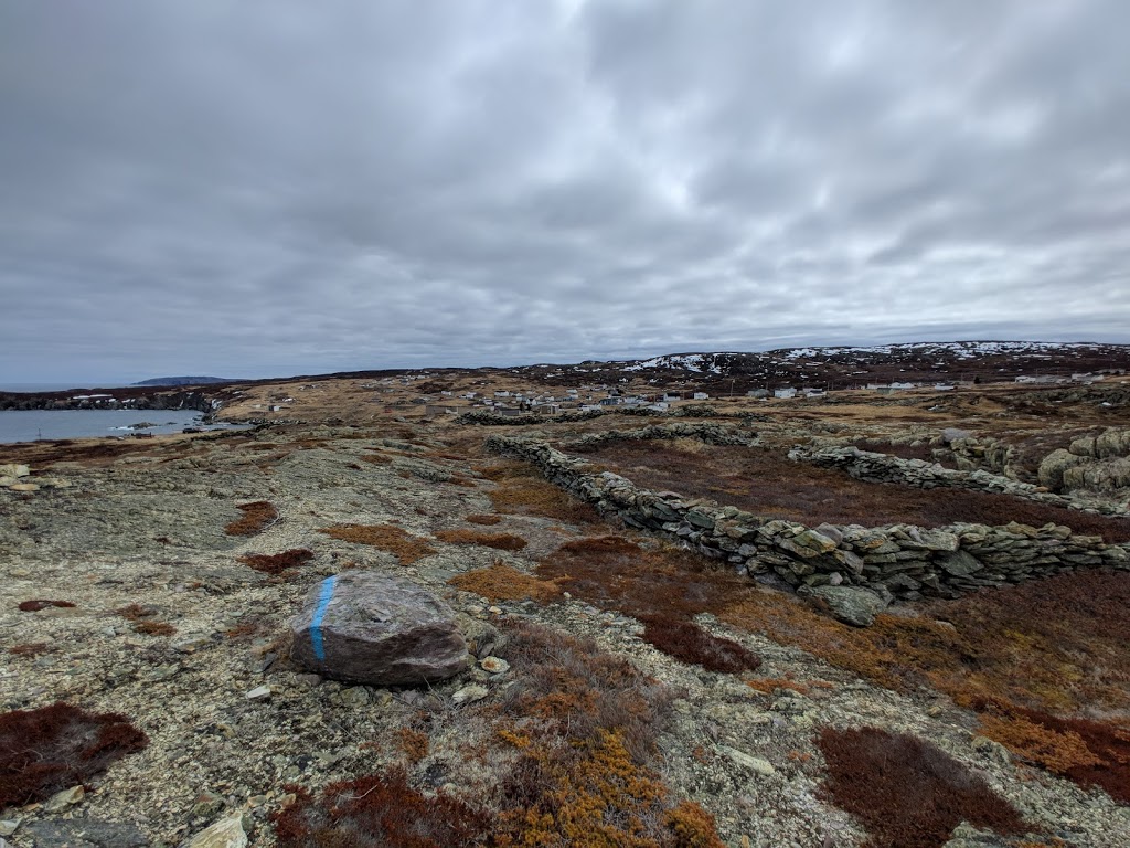 Newfoundland Piano Services | Main Road, Grates Cove, NL A0A 2L0, Canada | Phone: (905) 556-1454