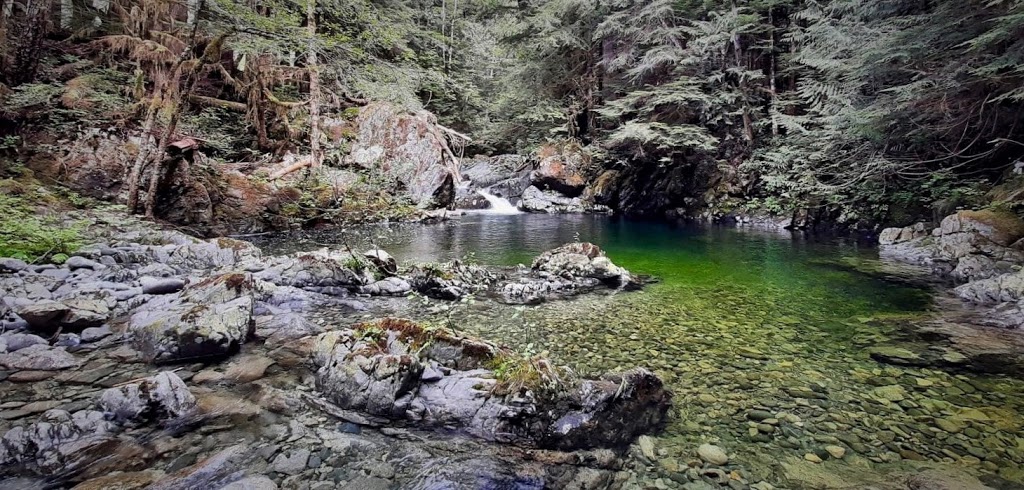 Fairy Creek Blockade HQ | Pacific Marine Rd, Port Renfrew, BC V0S 1K0, Canada | Phone: (250) 387-1715