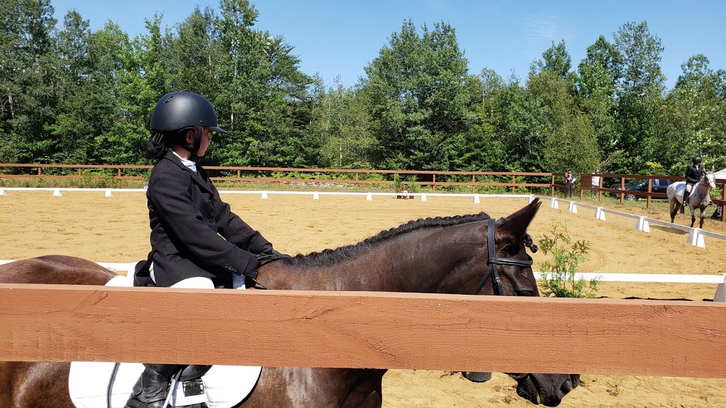 La Cadence école équitation | 1910 Rang Saint Félix E, Notre-Dame-du-Mont-Carmel, QC G0X 3J0, Canada | Phone: (819) 609-1131