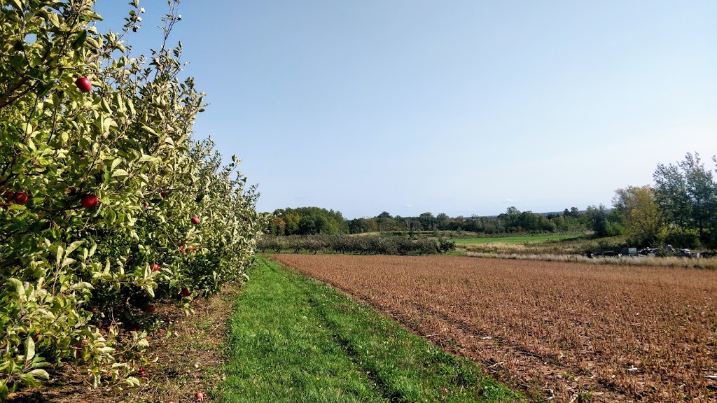 Foote Family Farm | 1972 Woodville Rd, Cambridge, NS B0P 1G0, Canada | Phone: (902) 678-4371