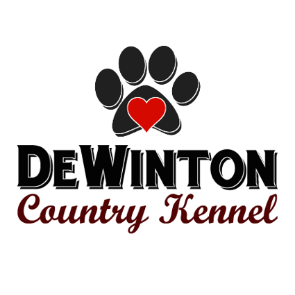 De Winton Country Kennel | 200-262161 32 St E, De Winton, AB T0L 0X0, Canada | Phone: (403) 512-6342