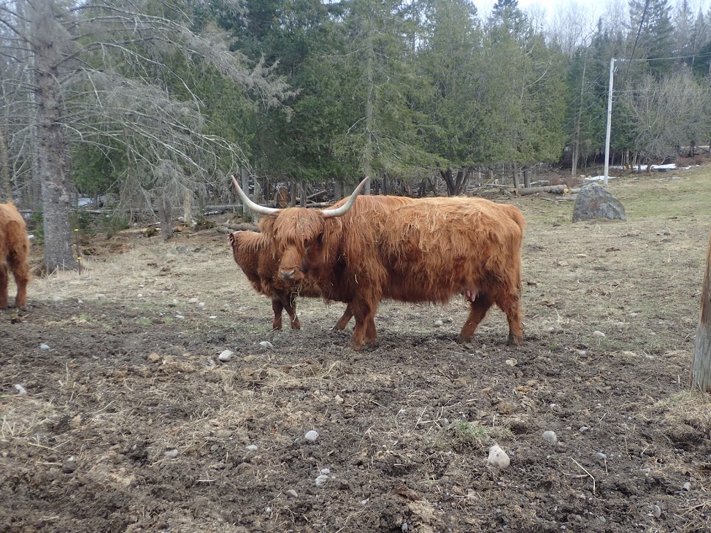 Ferme Morgan | 92 Chemin Morgan, Montcalm, QC J0T 2V0, Canada | Phone: (819) 687-2434