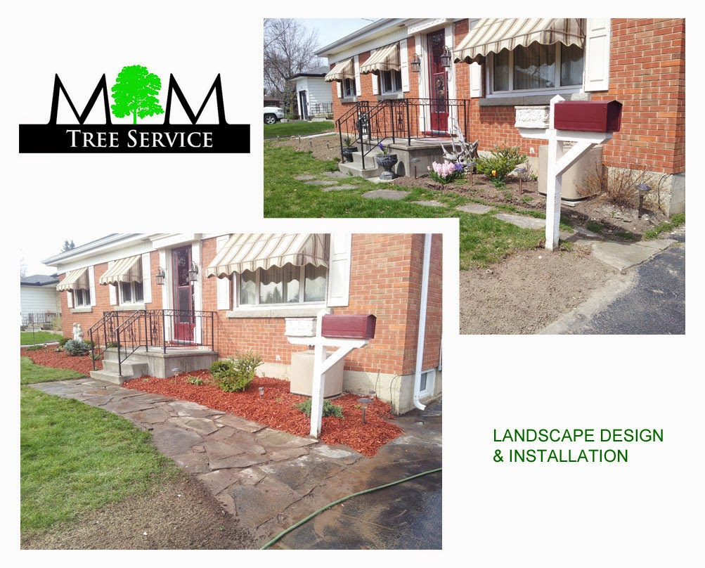 M & M Tree Service | 43 Washington St, Paris, ON N3L 2A6, Canada | Phone: (519) 752-4887