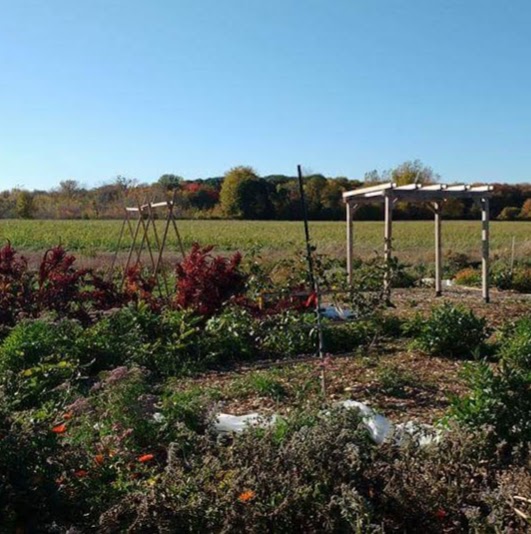 Macdonald Permaculture Showcase Garden (MPSG) | 21111 Rue Lakeshore, Sainte-Anne-de-Bellevue, QC H9X 3V9, Canada | Phone: (438) 883-8207