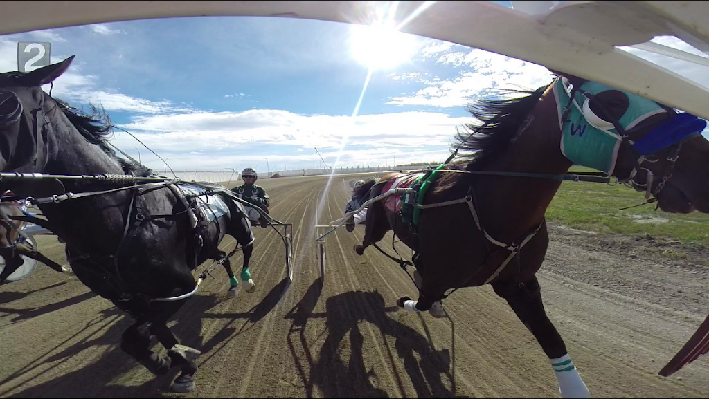 Alberta Standardbred Horse Association | 151 East Lake Boulevard Northeast, #207 NW Corner of the Vet Ag Bldg. Second floor, no, wheelchair access, Airdrie, AB T4A 2G1, Canada | Phone: (403) 263-7765