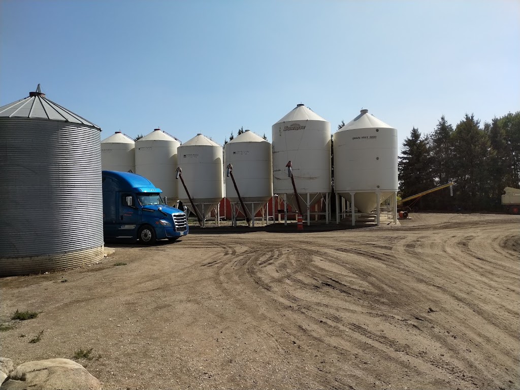 Zeghers Seed Inc. | River Rd, Holland, MB R0G 0X0, Canada | Phone: (866) 526-2145